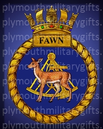 HMS Fawn Magnet